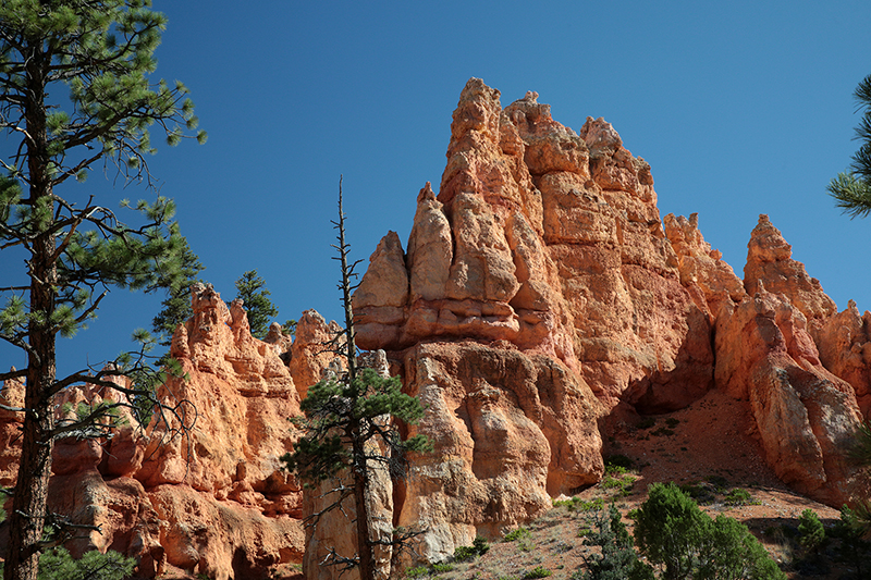 Bryce Canyon : Utah : Landscape Photos : Richard Moore : Photographer